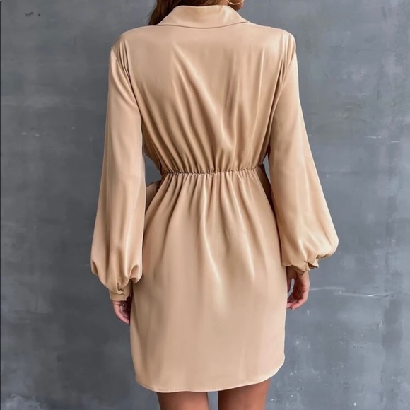 Half Button Knot Side Shirt Dress - Picture 4 of 5